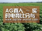 种植基地五