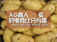 产品展示标题6