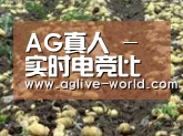 种植基地七