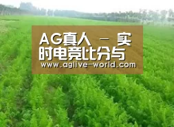种植基地四