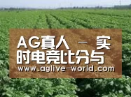 种植基地五(图1)