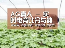 种植基地三