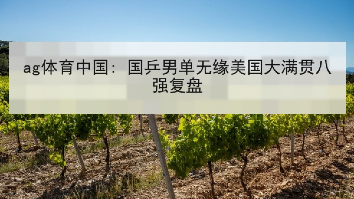 ag体育中国: 国乒男单无缘美国大满贯八强复盘