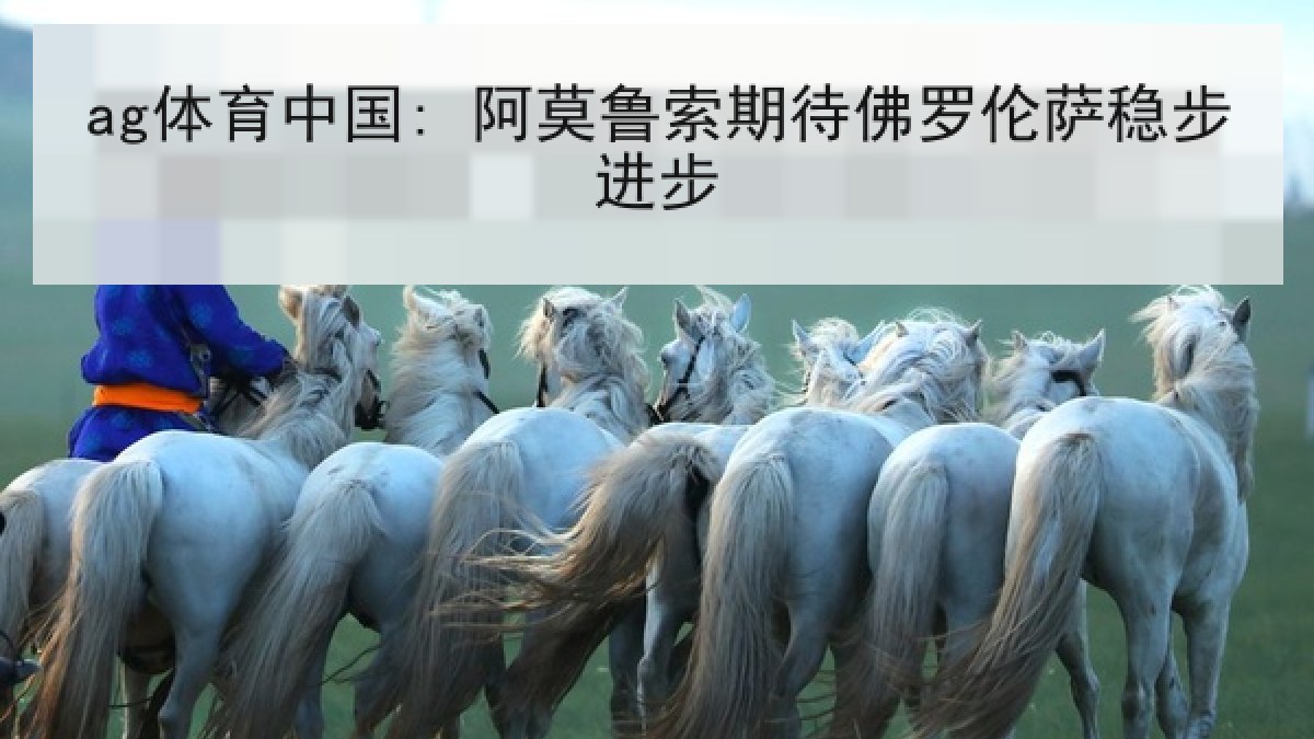 ag体育中国: 阿莫鲁索期待佛罗伦萨稳步进步