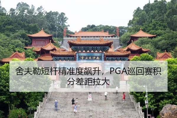 she-fu-lei-duan-gan-jing-zhun-du-biao-sheng-xun-hui-sai-ji-fen-cha-ju-la-da-2-560.jpg