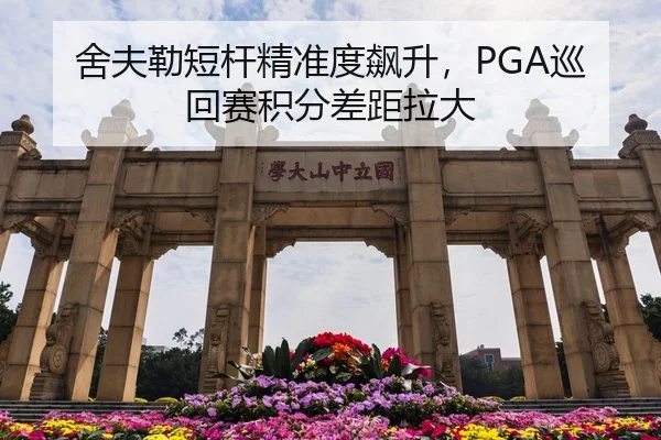 she-fu-lei-duan-gan-jing-zhun-du-biao-sheng-xun-hui-sai-ji-fen-cha-ju-la-da-3-957.jpg