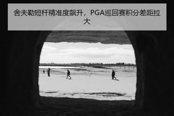 舍夫勒短杆精准度飙升，PGA巡回赛积分差距拉大