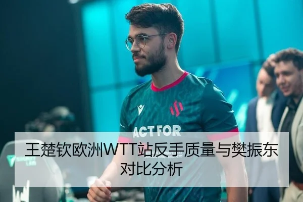 王楚钦欧洲WTT站反手质量与樊振东对比分析