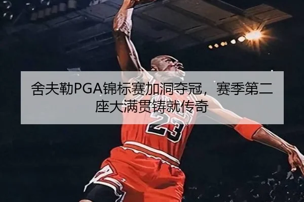 she-fu-lei-jin-biao-sai-jia-dong-duo-guan-sai-ji-di-er-zuo-da-man-guan-zhu-jiu-chuan-qi-2-772.jpg