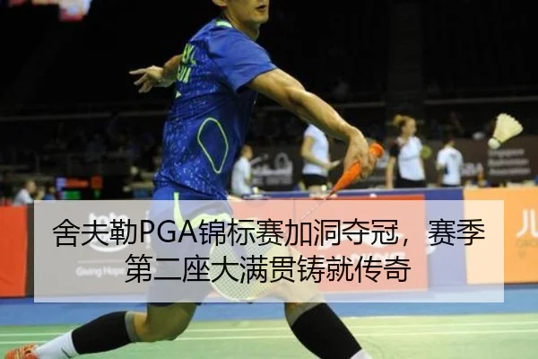 she-fu-lei-jin-biao-sai-jia-dong-duo-guan-sai-ji-di-er-zuo-da-man-guan-zhu-jiu-chuan-qi-3-199.jpg